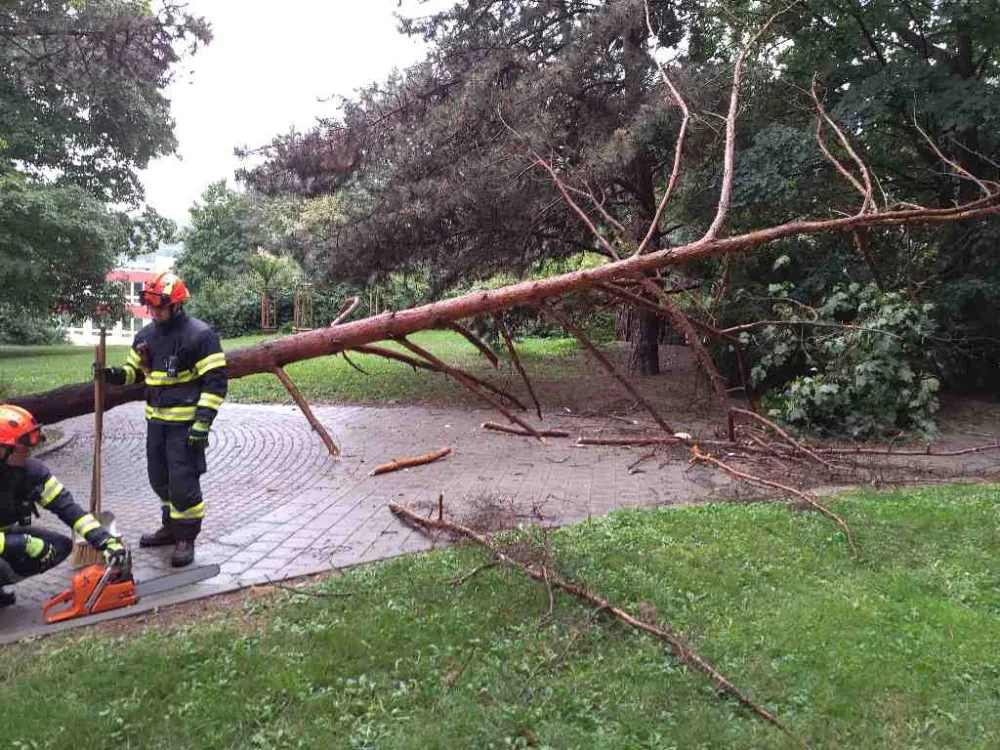V Brně odstraňovali hasiči ze silnic stromy a větvě.