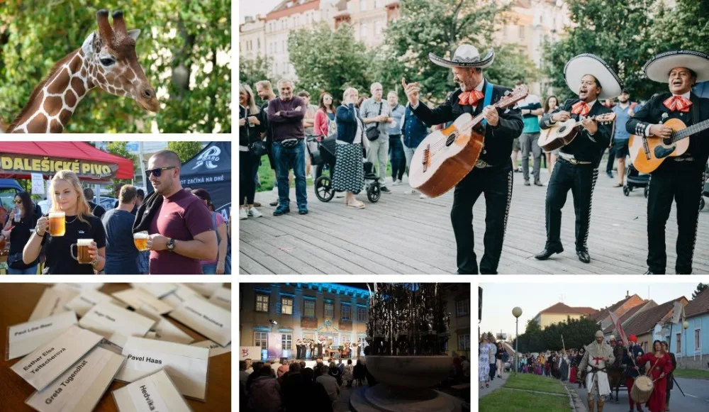 Kam poslední prázdninový víkend na jihu Moravy? Do brněnské zoo nebo na festival židovské kultury