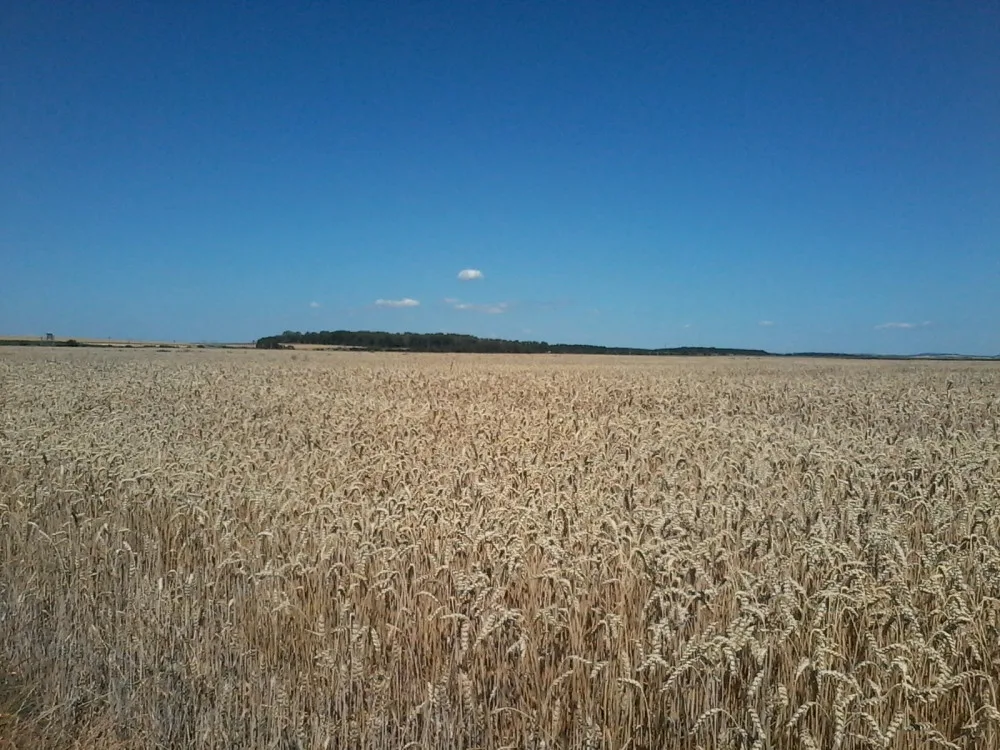 Ilustrační foto.