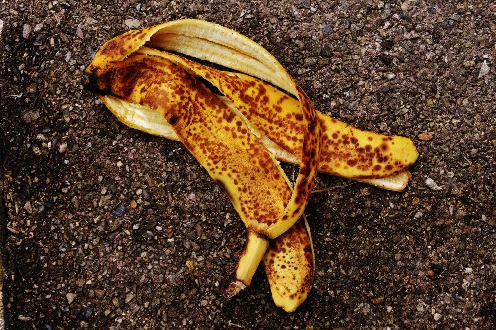 Ilustrační foto.