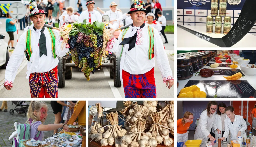 Kam o víkendu na jihu Moravy? Na vinobraní nebo na festival vědy a techniky