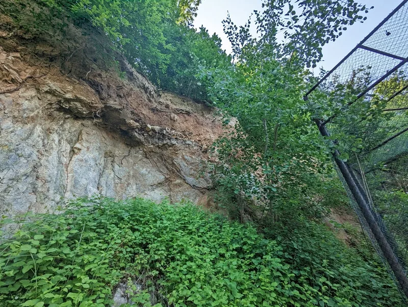 Zoo Brno zavřela cestu k oblíbené medvědici kvůli padající skále. Zvíře uvidíte na netu, radí město