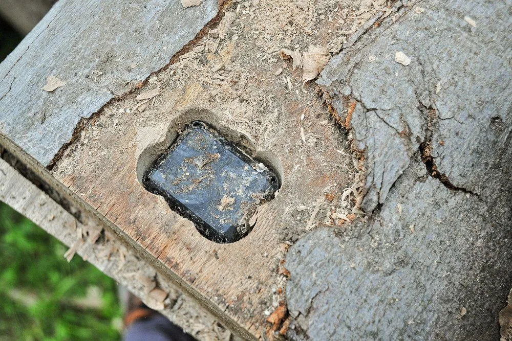 GPS trackery v pokácených stromech.