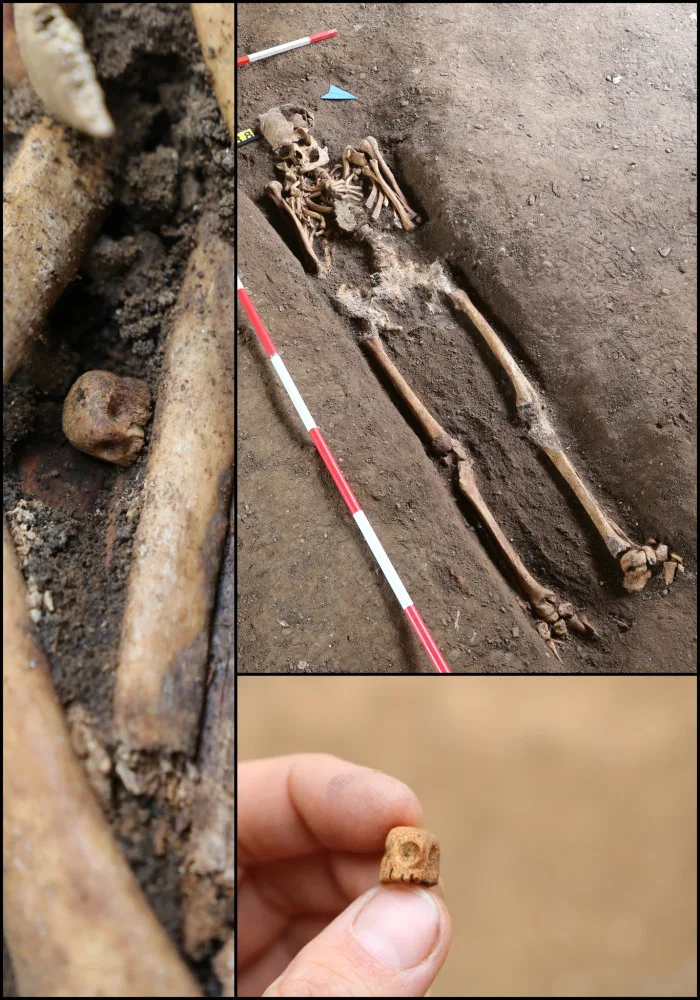 Archeologové přišli s postřehem. Lidi na jižní Moravě napadala zákeřná infekce
