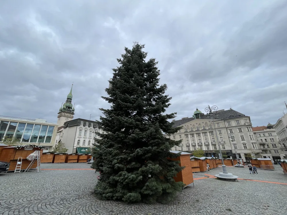 Brněnský Zelný trh zdobí vánoční jedle. Na konkurenta z náměstí Svobody se čeká