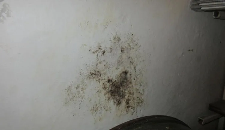 Jsou to poklady, a ne svinčík, brání se brněnská kavárna, kterou zdrbali potravináři