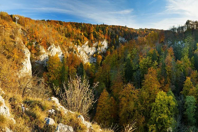 Ilustrační foto.