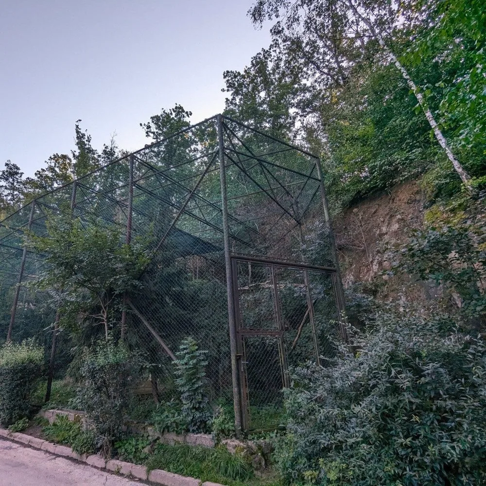 V brněnské zoo se rozhoupali. Opraví skálu, aby nepadala na hlavu orlům