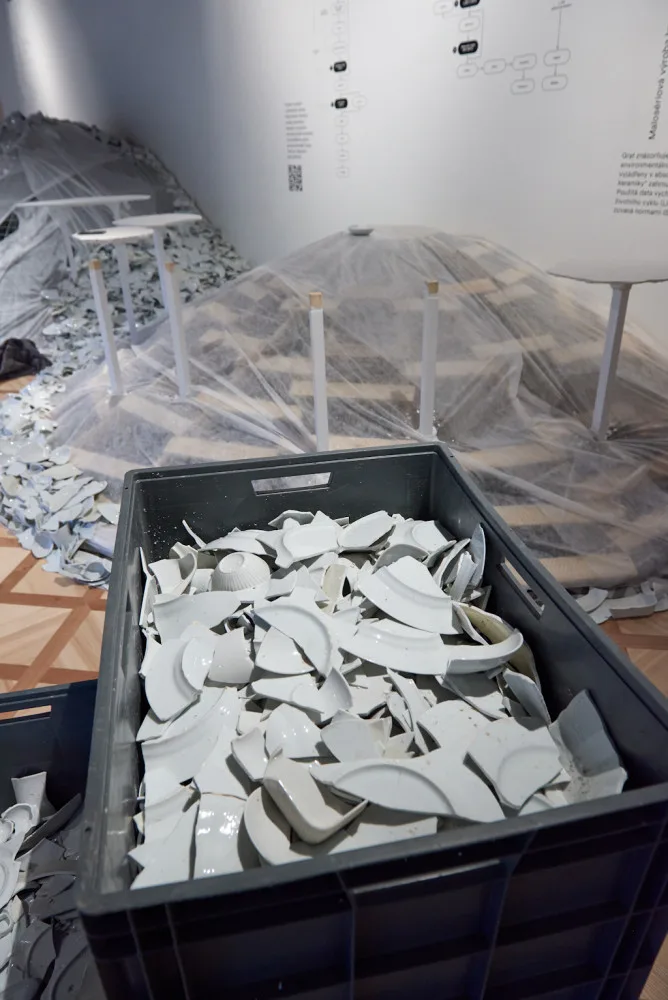 Muzeum v Brně slaví 150 let. Na výroční výstavě lidé uvidí sklo, keramiku a rozbijí porcelánový talíř