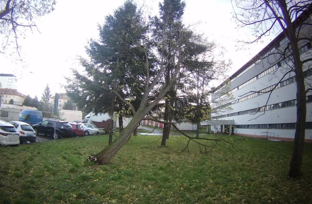 V Brně řádil silný vítr. Popadaly stromy, tašky ze střechy i ploty