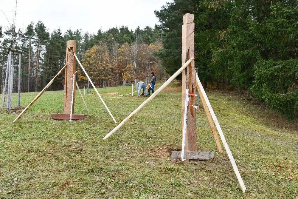 Do Blanska se vrátily pokácené akáty. Tamní umělec z nich vyrobil sochy