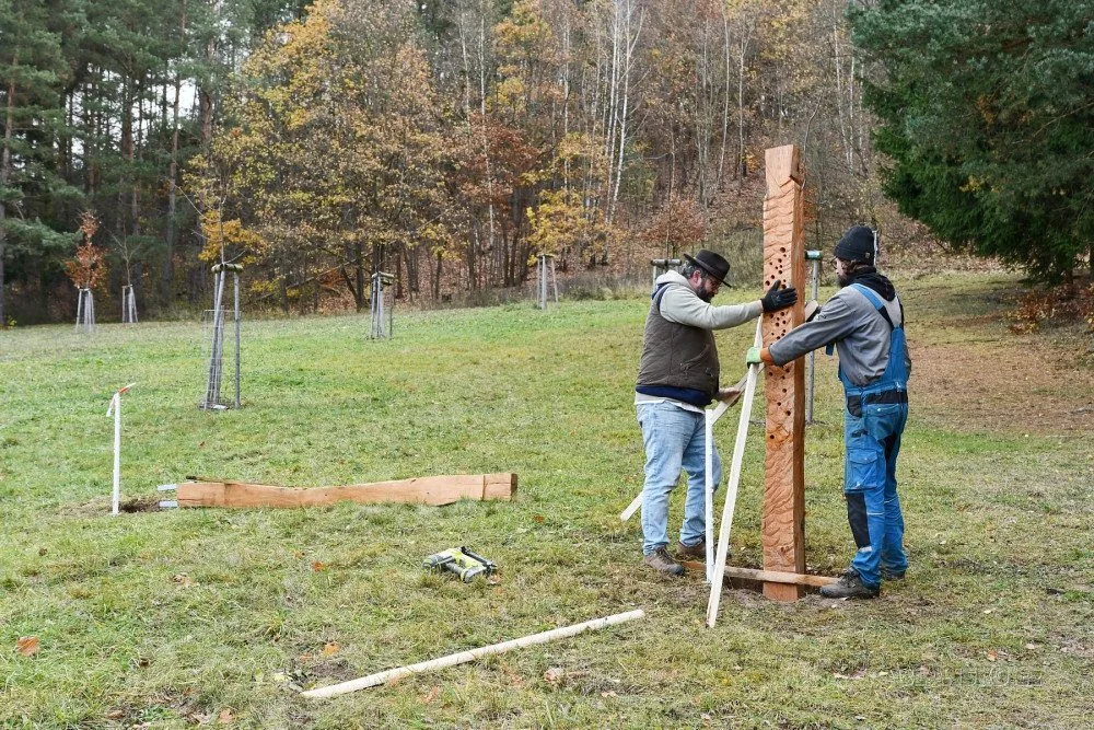 Do Blanska se vrátily pokácené akáty. Tamní umělec z nich vyrobil sochy