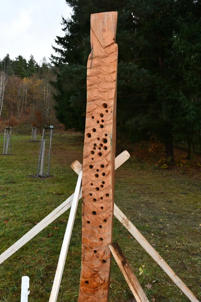 Do Blanska se vrátily pokácené akáty. Tamní umělec z nich vyrobil sochy