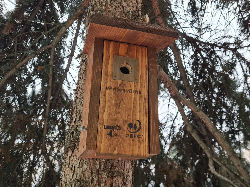 Kdepak ty ptáčku hnízdo máš? V jedné z nově vyvěšených budek přece.