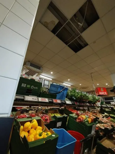Inspekci ve znojemském Lidlu zarazily kbelíky na vodu. Stály mezi rajčaty