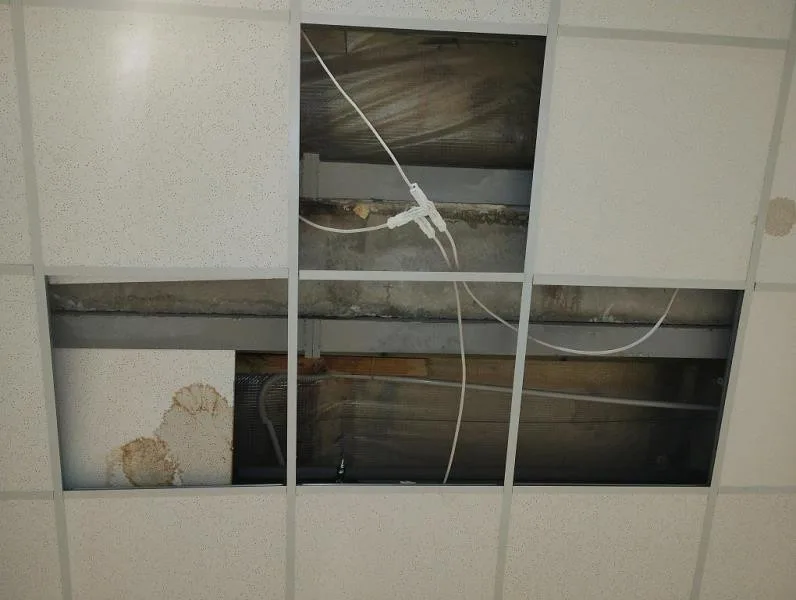 Inspekci ve znojemském Lidlu zarazily kbelíky na vodu. Stály mezi rajčaty