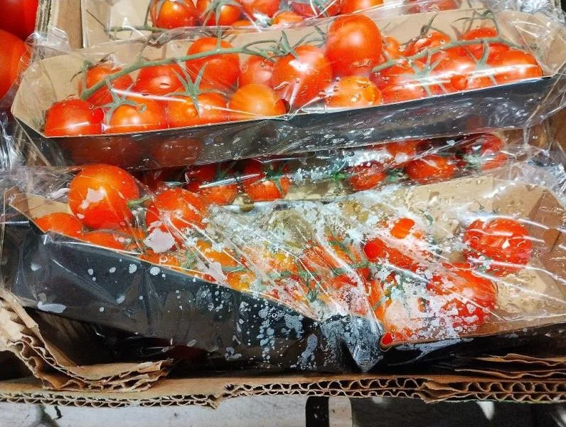 Inspekci ve znojemském Lidlu zarazily kbelíky na vodu. Stály mezi rajčaty