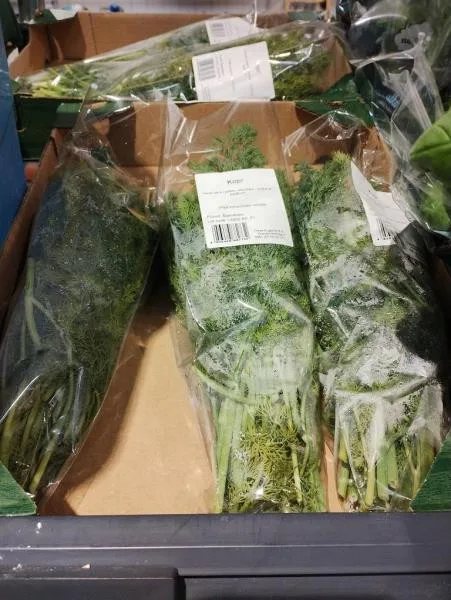 Inspekci ve znojemském Lidlu zarazily kbelíky na vodu. Stály mezi rajčaty