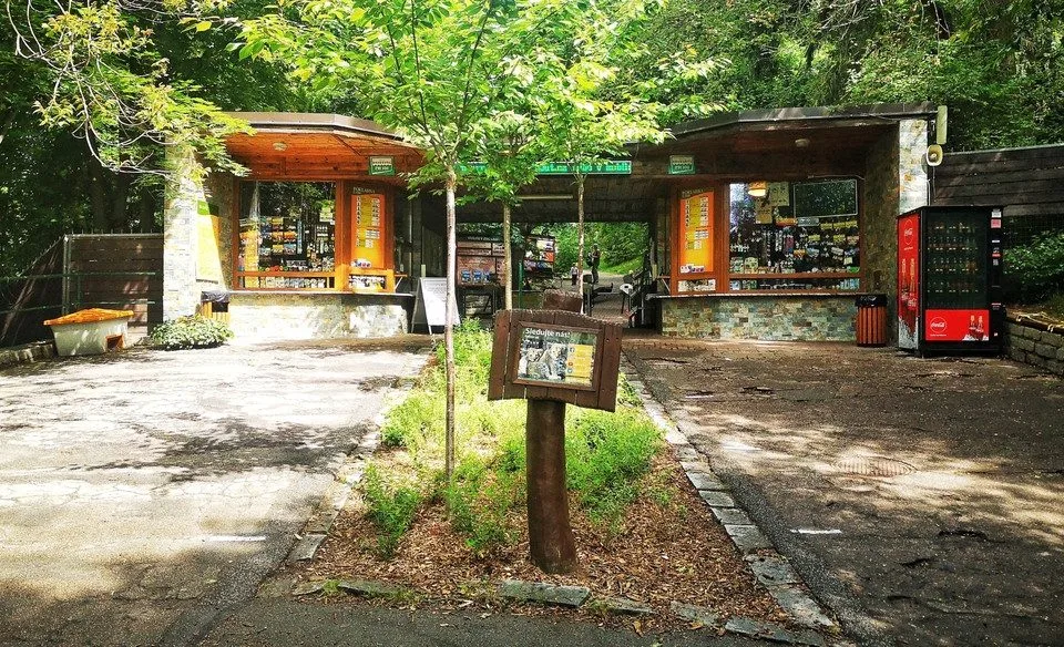 Brněnská zoologická letos netáhla. Může za to počasí, myslí si vedení