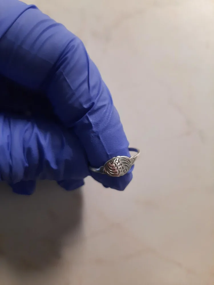 Žena přeskočila zábradlí a vběhla pod šalinu. Leží zraněná v nemocnici a policie pátrá po její totožnosti