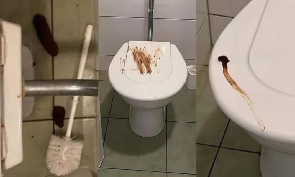 Na brněnském gymnáziu řádí Záchodový fantom. Toalety od fekálií prezentuje jako umělecká díla