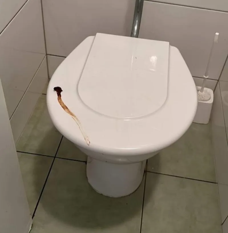Na brněnském gymnáziu řádí Záchodový fantom. Toalety od fekálií prezentuje jako umělecká díla