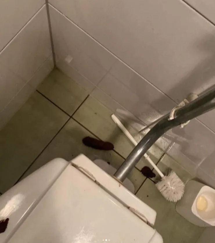 Na brněnském gymnáziu řádí Záchodový fantom. Toalety od fekálií prezentuje jako umělecká díla