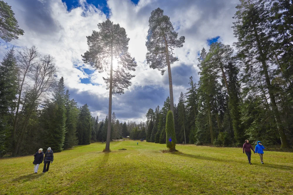 Kam o víkendu na jižní Moravě? Do arboreta nebo na maškarní v zoo