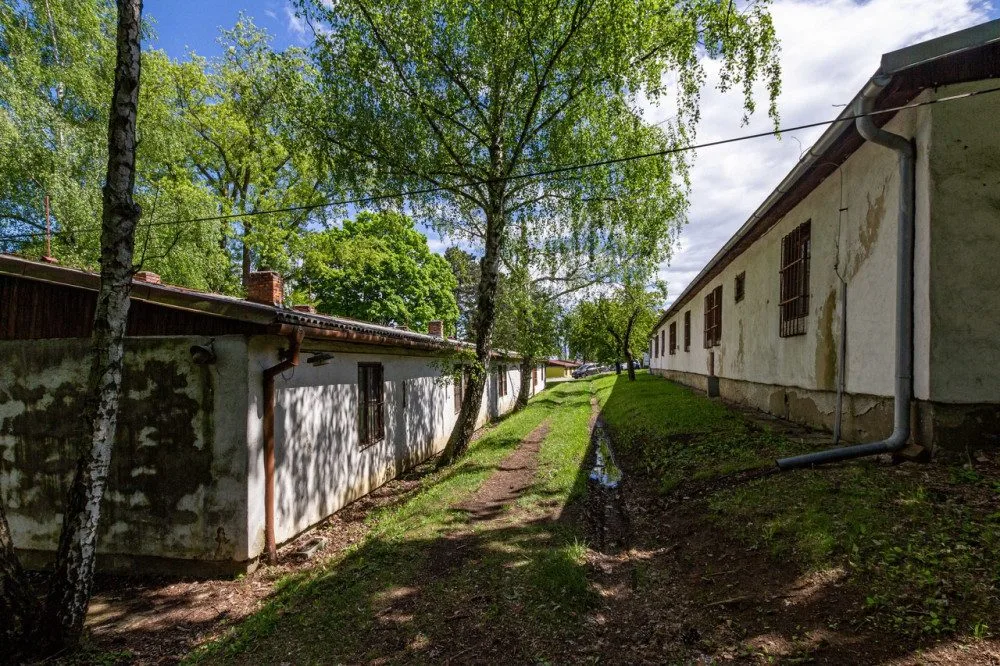 Úředníci v Brně nařídili umělcům, aby se vystěhovali z domků u Kraví hory. Ti se bouří a pryč nechtějí