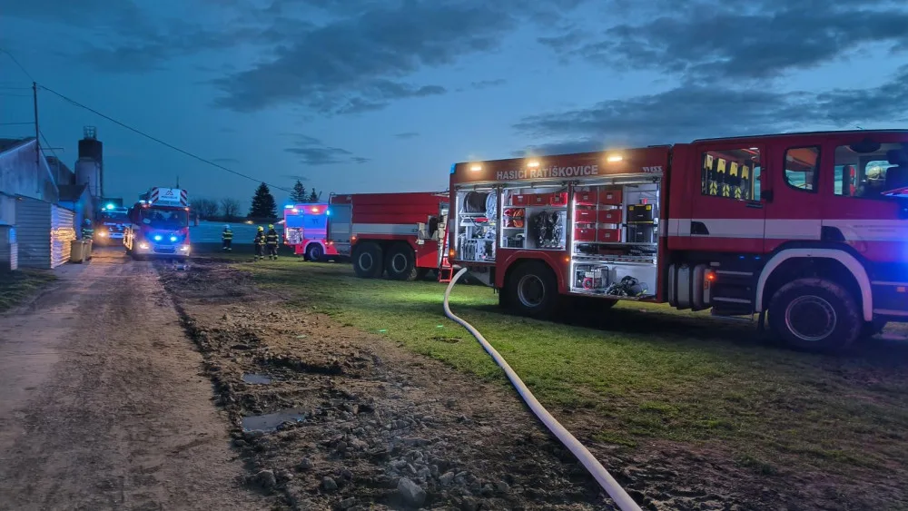 Požár zasáhl chov prasat. Prasnice i selata, kterých bylo v objektu skoro pět set, jsou v pořádku
