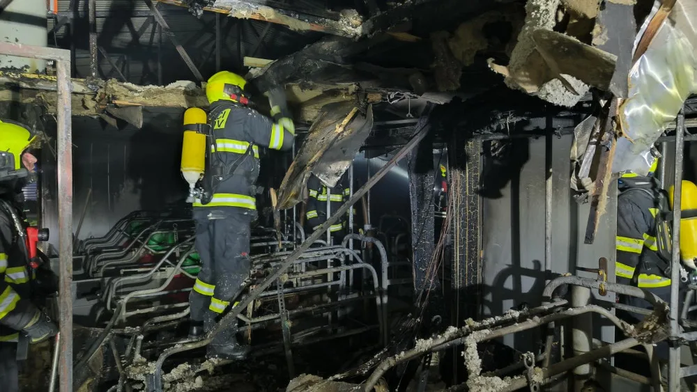 Požár zasáhl chov prasat. Prasnice i selata, kterých bylo v objektu skoro pět set, jsou v pořádku