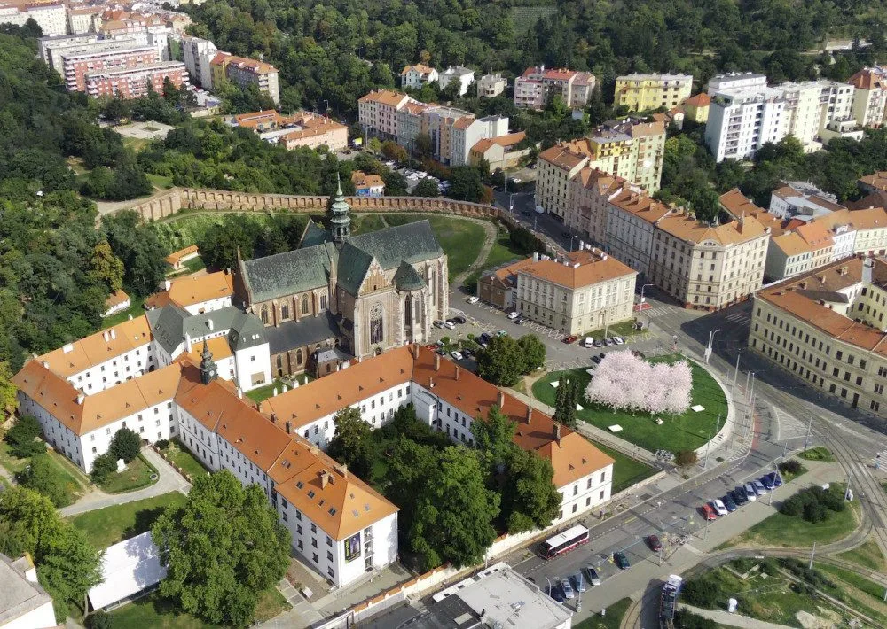 rejčka