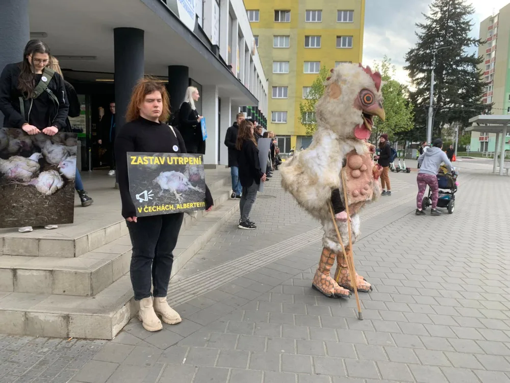 VIDEO: Aktivisté protestují před brněnským supermarketem. Chovejte kuřata v lepších podmínkách, požadují