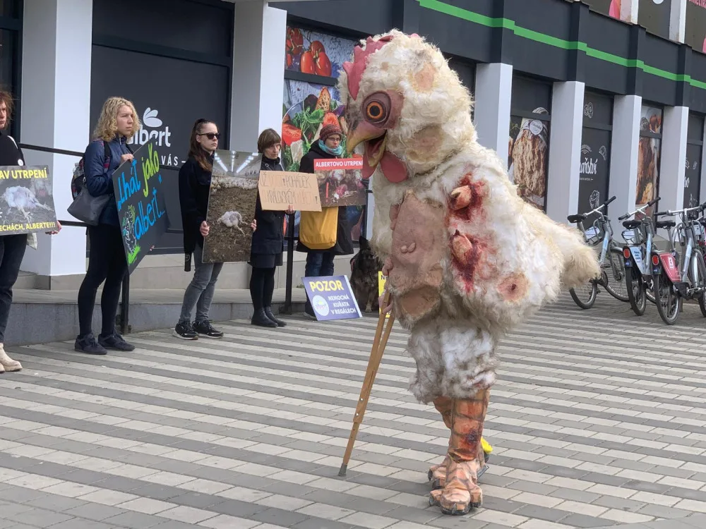VIDEO: Aktivisté protestují před brněnským supermarketem. Chovejte kuřata v lepších podmínkách, požadují