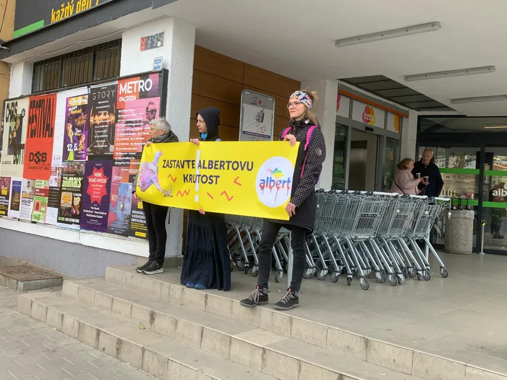 VIDEO: Aktivisté protestují před brněnským supermarketem. Chovejte kuřata v lepších podmínkách, požadují
