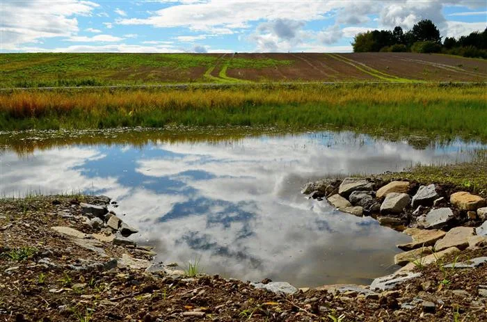 Ve Vyškově přibude u Lulečského potoka další mokřad i soustava tůní