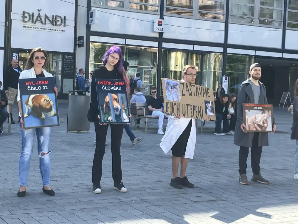 Aktivisté v Brně protestovali proti pokusům na zvířatech. Kolemjdoucí na ně útočně pokřikovali