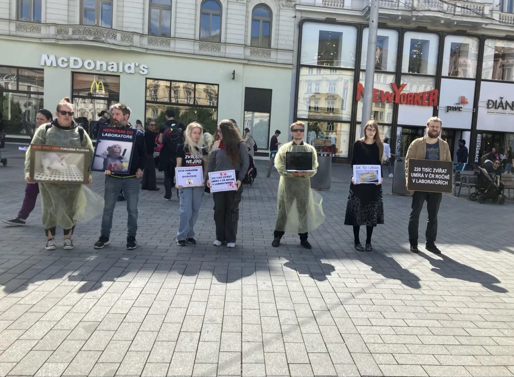 Aktivisté v Brně protestovali proti pokusům na zvířatech. Kolemjdoucí na ně útočně pokřikovali