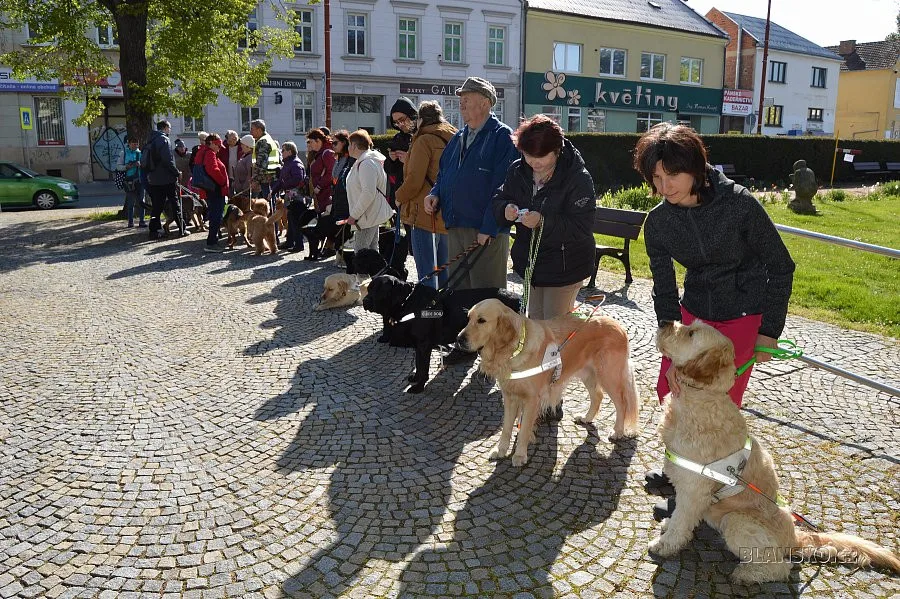 Do Blanska dorazili nevidomí z celého Česka. Jejich vodicí psi se v dovednostní soutěži utkali o játrové medaile