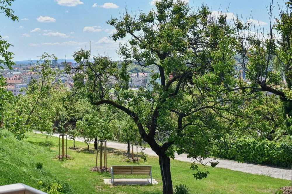 Park s vyhlídkou na Žlutém kopci nad starobrněnským pivovarem se otevřel veřejnosti