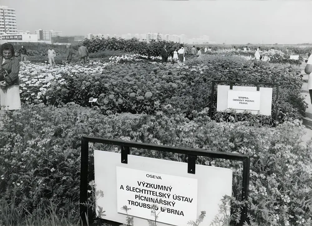 Oslava padesáté Země živitelky bude velkolepá