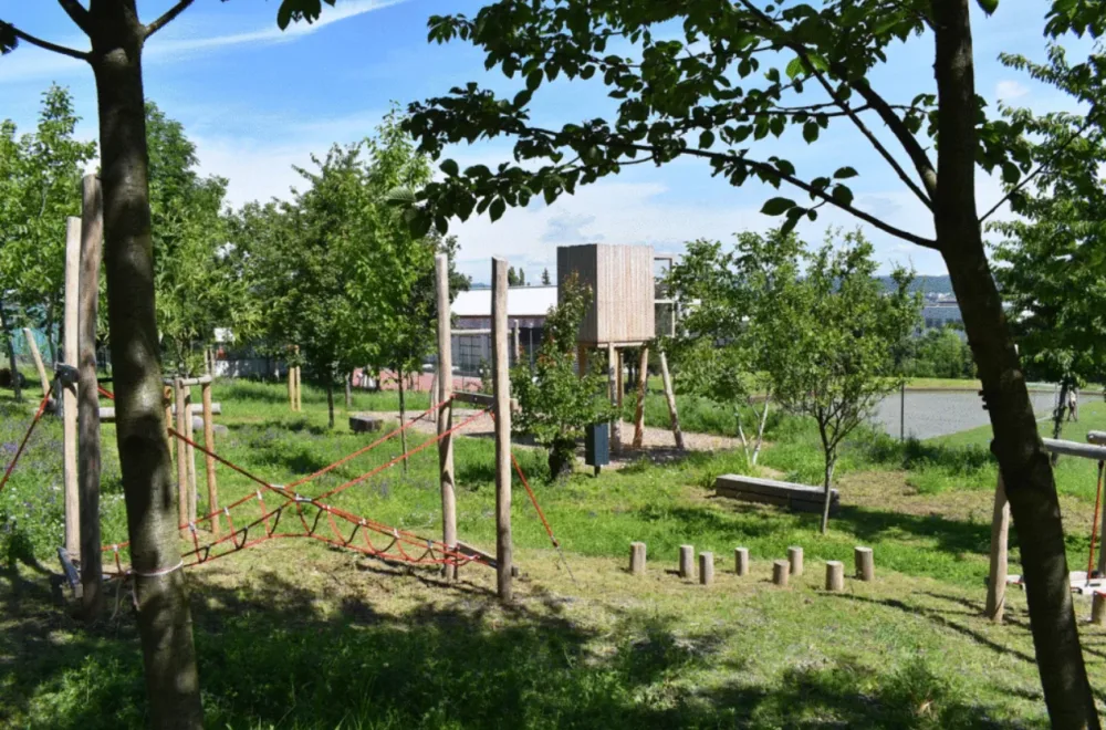 Na Kraví hoře místo zanedbaných zahrádek vyrostl nový park s dětským hřištěm. Vše, co tam roste, je jedlé