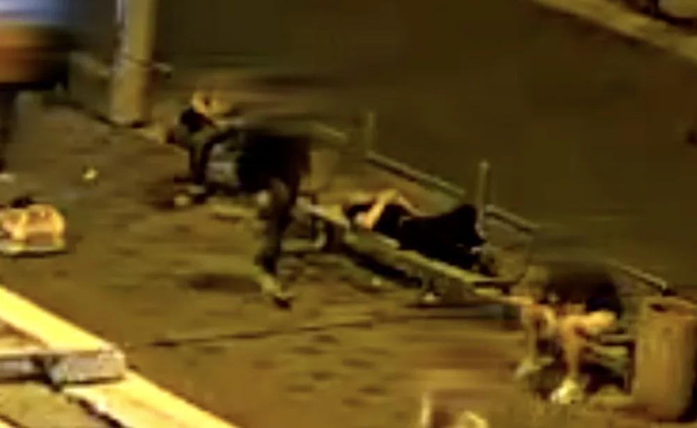 VIDEO: Žena v Brně ukradla muži telefon z kapsy, jinému vzala během hovoru dvoustovku z kapsy