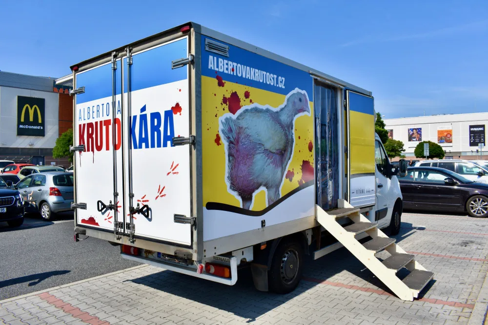 Albertova Krutokára míří do Brna. Obránci zvířat upozorňují na otřesné podmínky kuřat chovaných pro supermarket