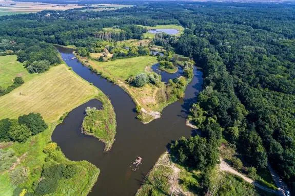 Povodí Dyje vysychá, upozorňují odborníci. Pomoct by mohla voda z Dunaje přivedená kanálem