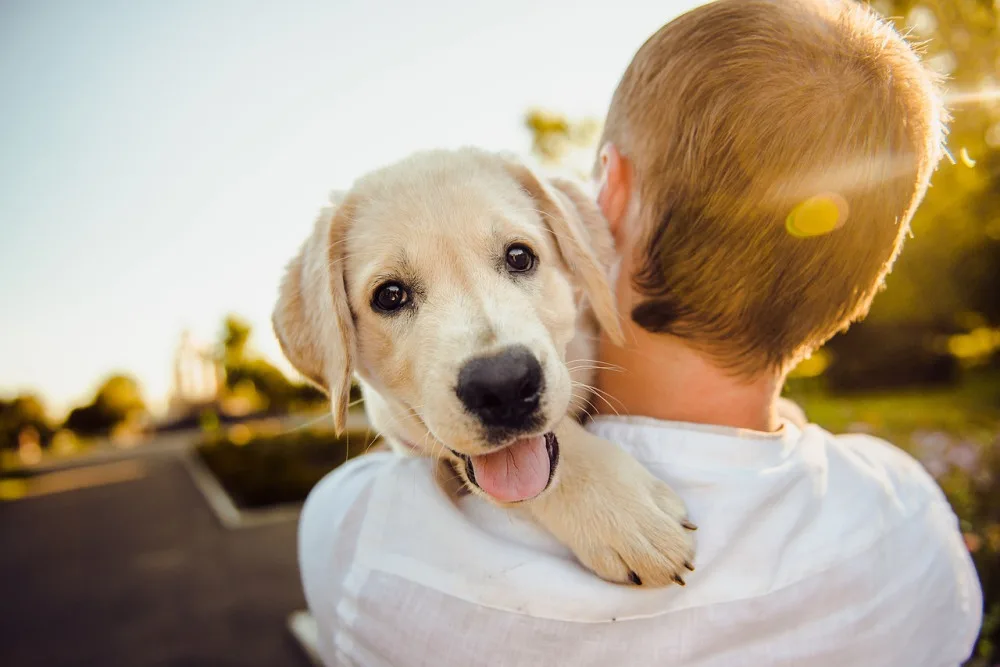 ilustrační foto