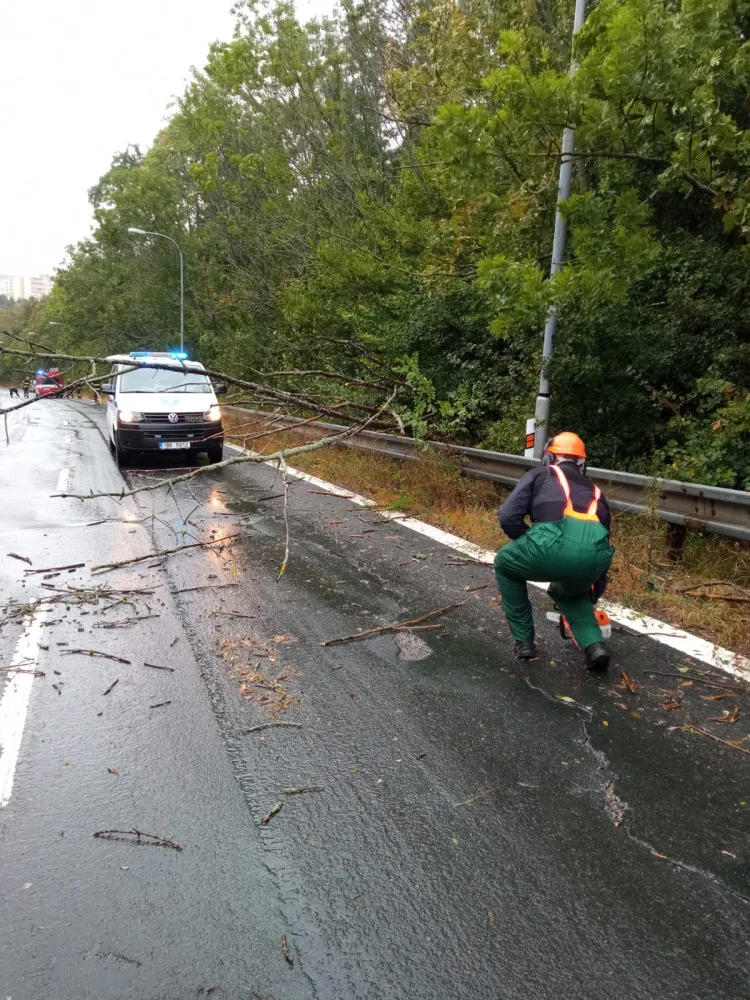 Větev spadla těsně vedle mladé ženy s kočárkem. Nechoďte do lesů ani parků, varují strážníci