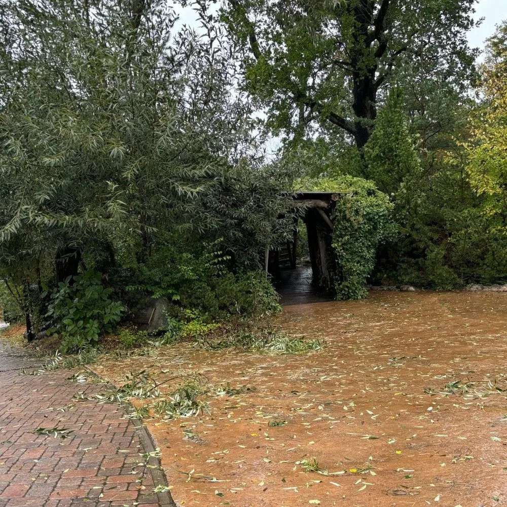 Silný vítr v brněnské zoo polámal větve. Zahrada dnes po třech dnech otvírá