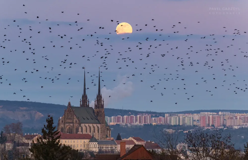 ilustrační foto