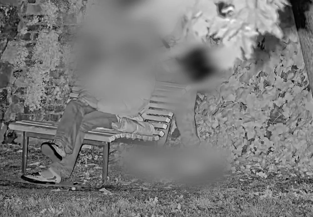 VIDEO: Celostátně hledaný mladík v Brně okradl muže spícího na lavičce